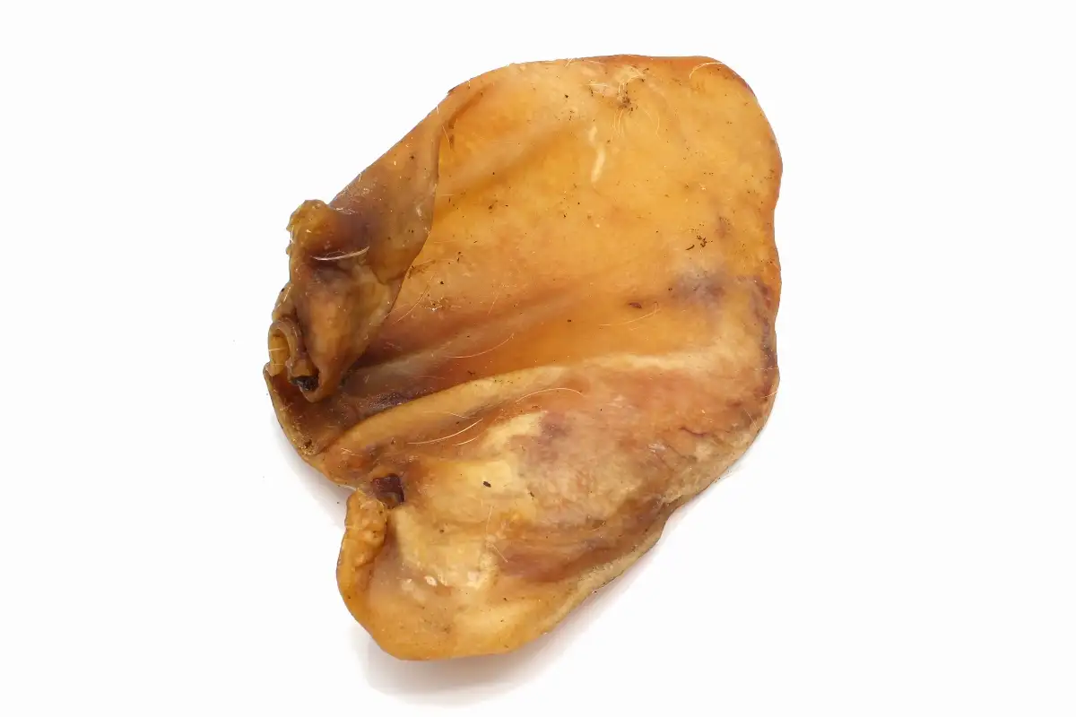 Oreille de porc